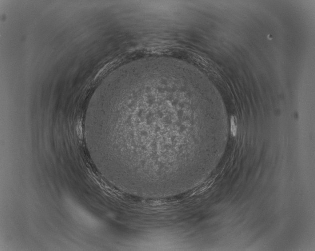 X0000065231155200603031706