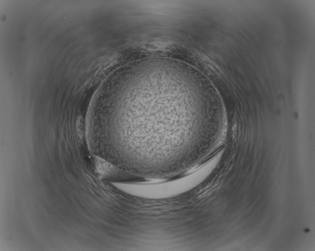 X0000065231156200603031706