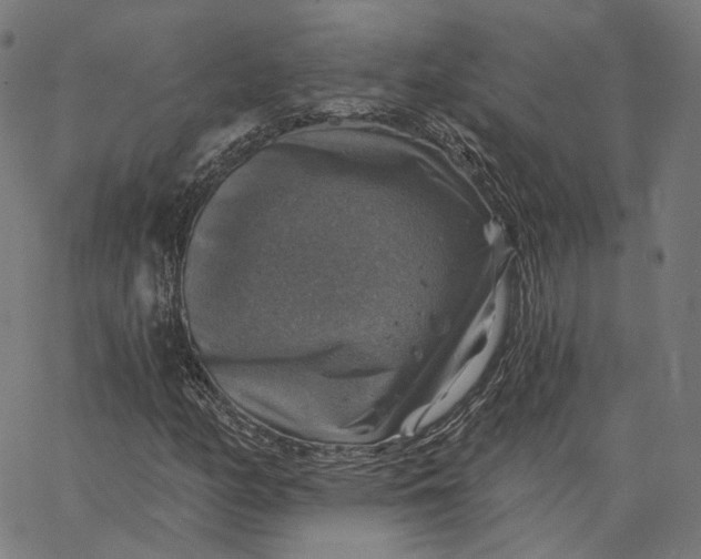 X0000065231158200603031706
