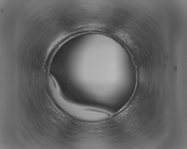 X0000065231164200603031706