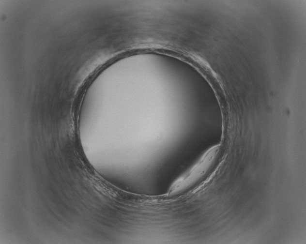 X0000065231167200603031706