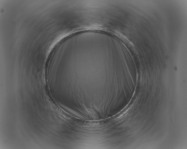 X0000065231174200603031706
