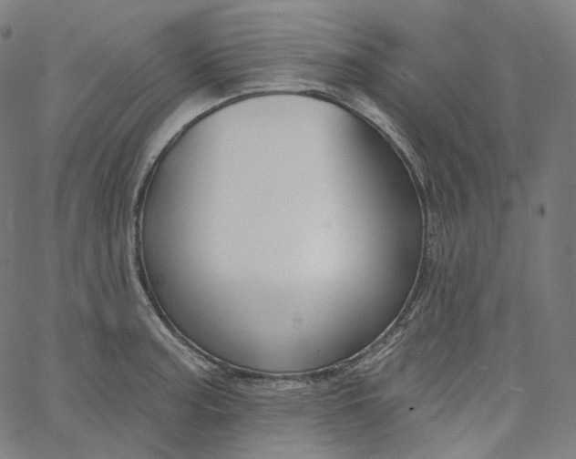 X0000065231187200603031705