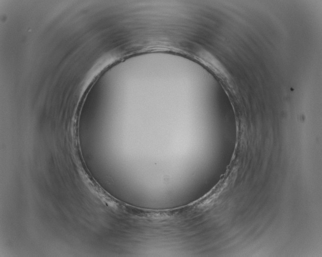 X0000065231190200603031705