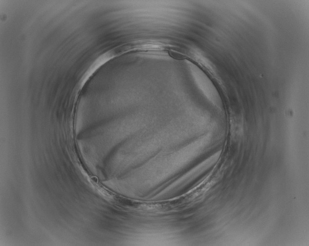 X0000065231194200603031705