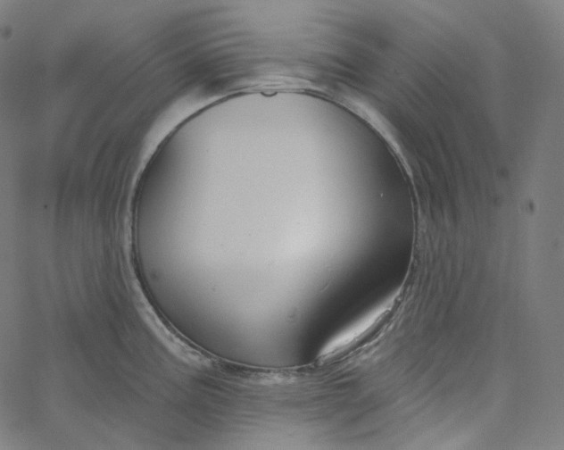 X0000065231195200603031705