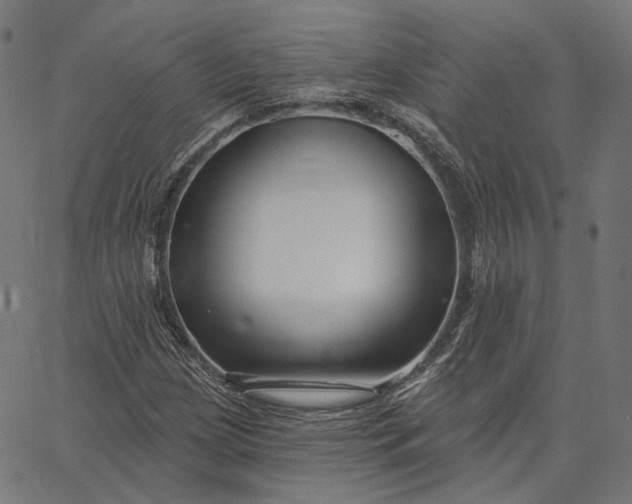 X0000065231209200603031705