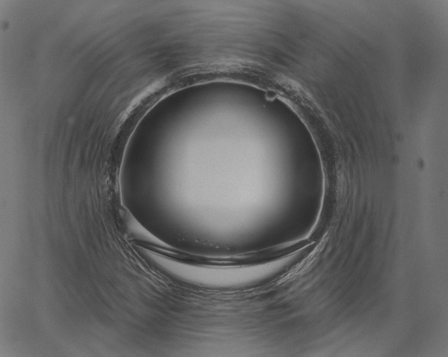 X0000065231210200603031705