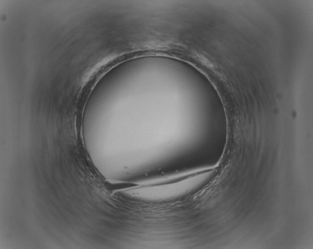 X0000065231214200603031705