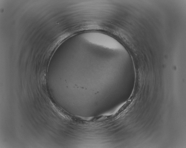 X0000065231225200603031705