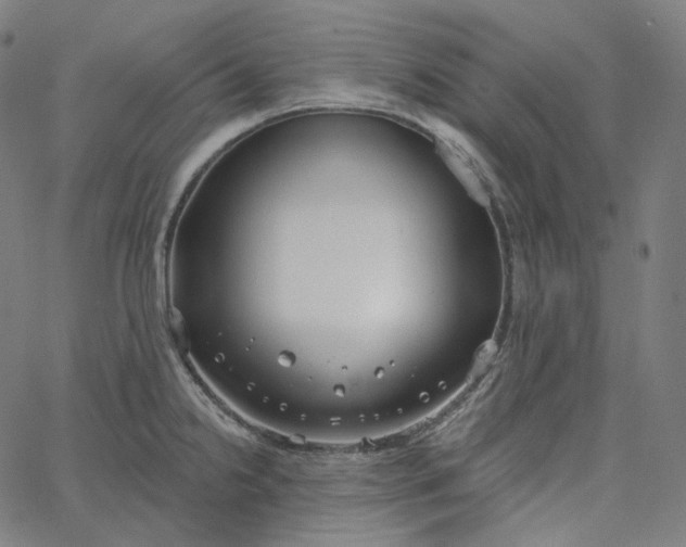X0000065231238200603031705