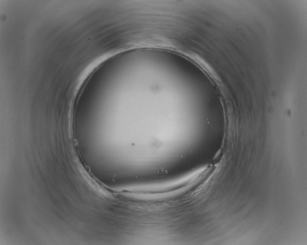 X0000065231246200603031705