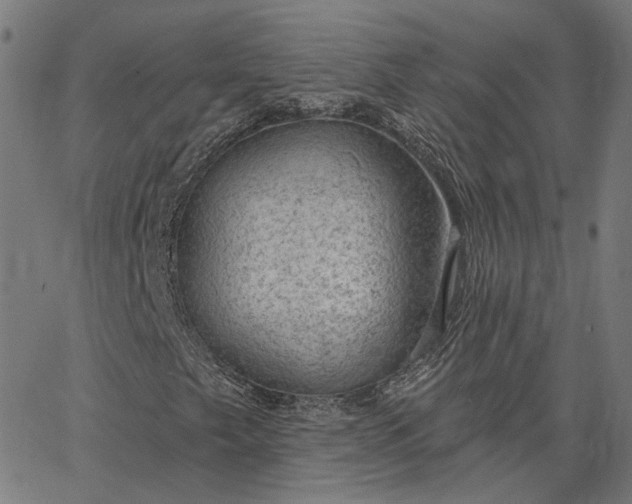 X0000065231249200603031704
