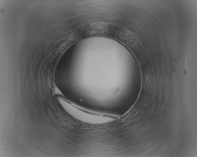 X0000065231250200603031704