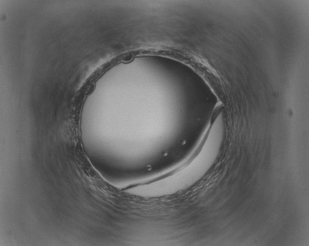 X0000065231256200603031704