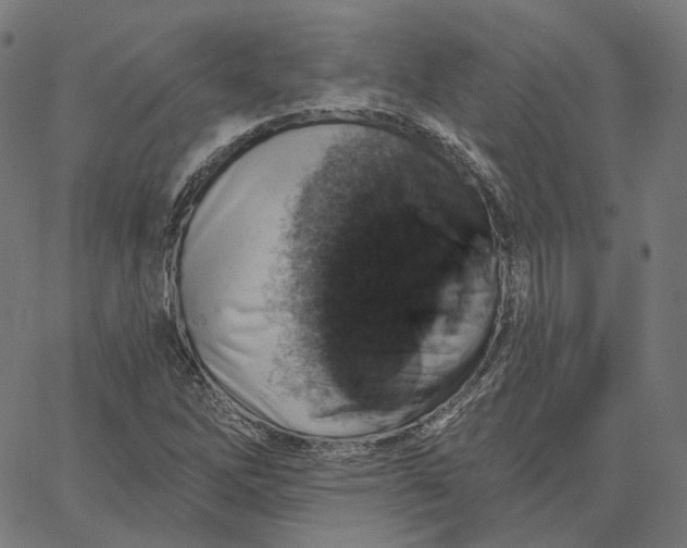 X0000065231262200603031704
