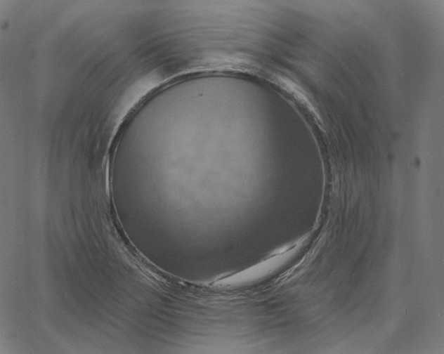 X0000065231275200603031704