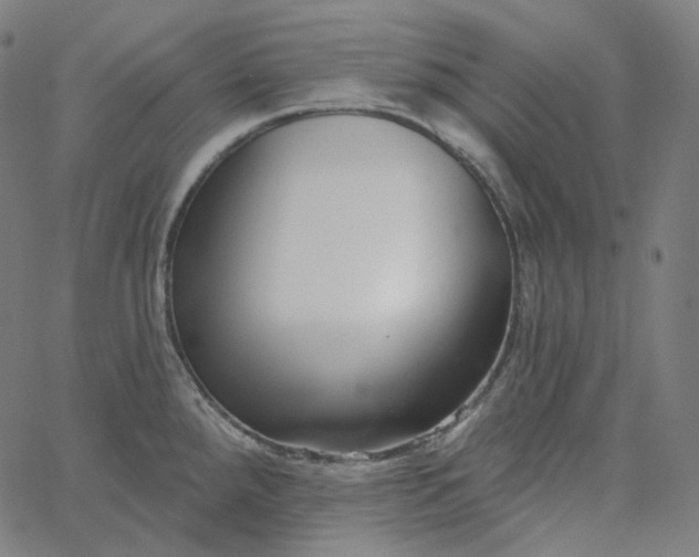X0000065231288200603031704