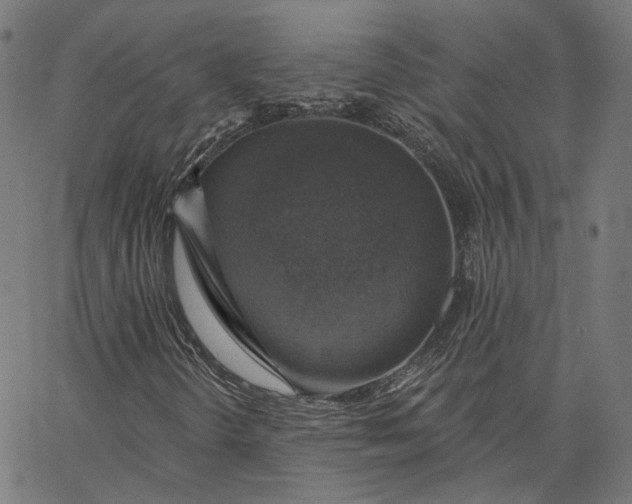 X0000065231298200603031703