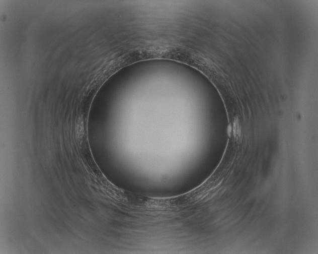 X0000065231299200603031703