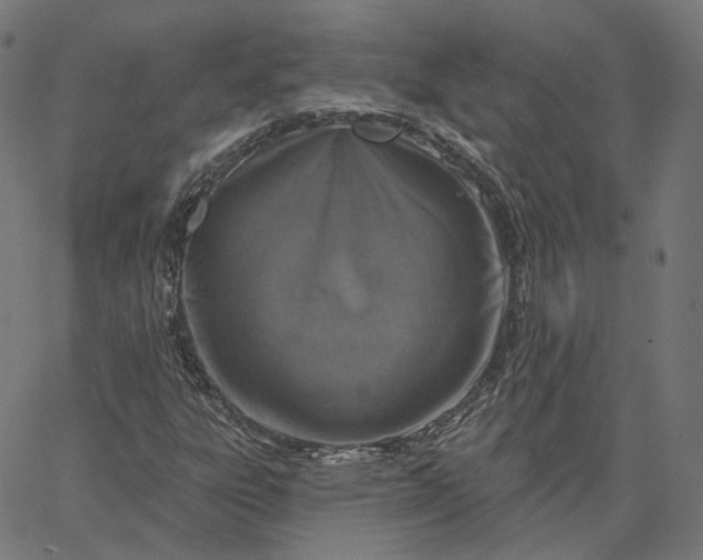 X0000065231303200603031703