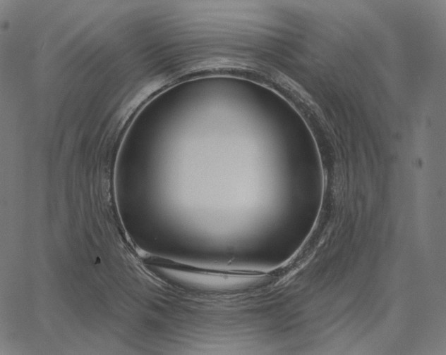 X0000065231321200603031703