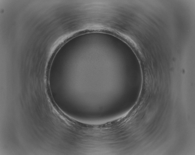 X0000065231327200603031703