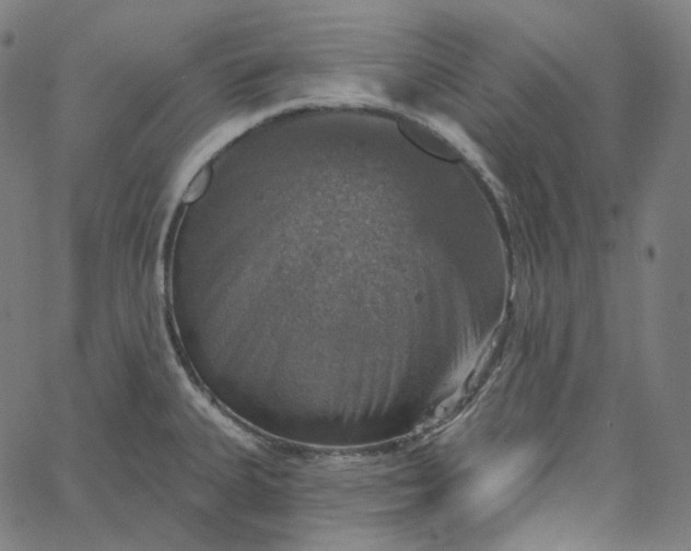 X0000065231335200603031703