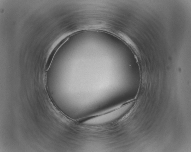 X0000065231340200603031704