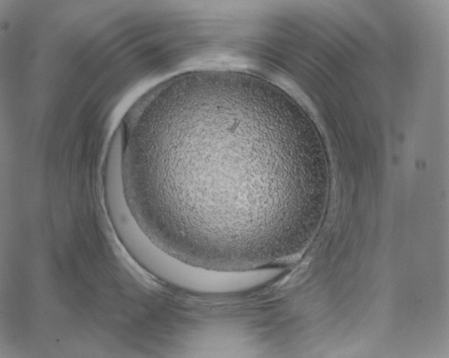 X0000065231344200603031704