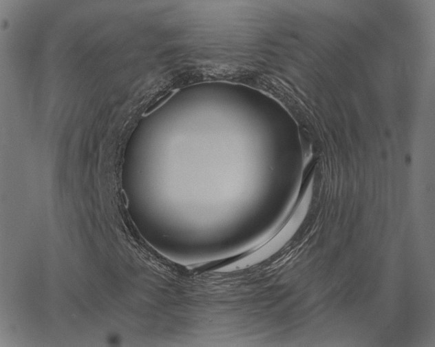 X0000065231345200603031703