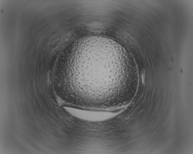X0000065231347200603031703