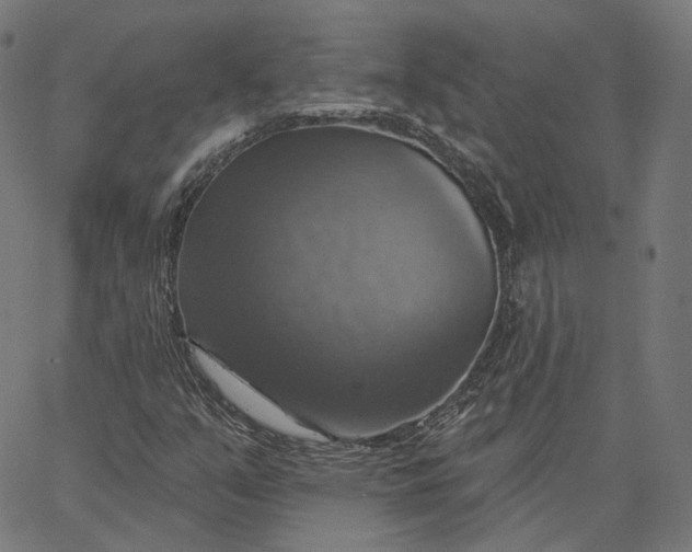 X0000065231351200603031703