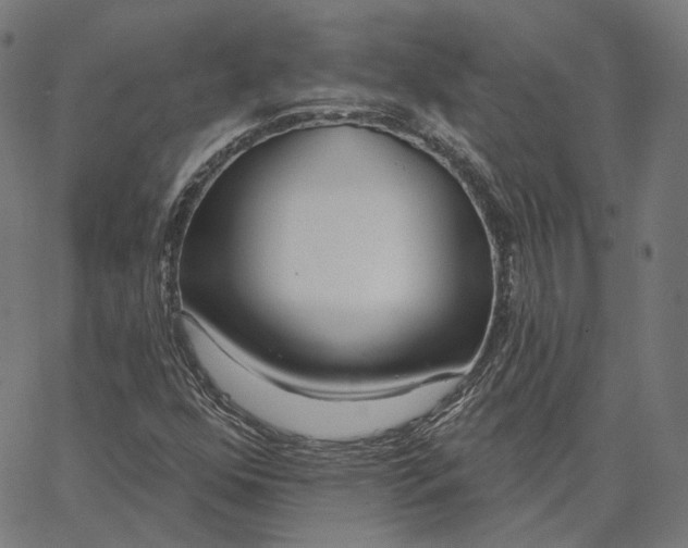 X0000065231352200603031703