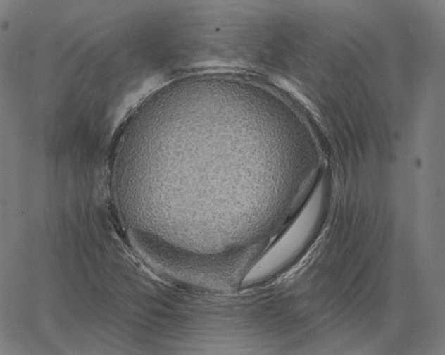 X0000065231357200603031703