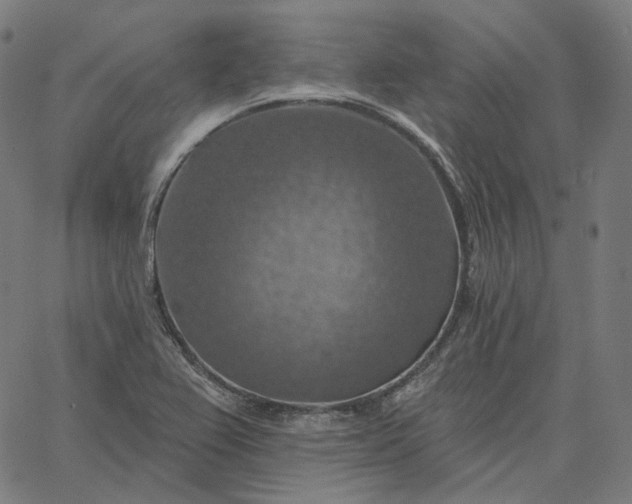X0000065231367200603031702