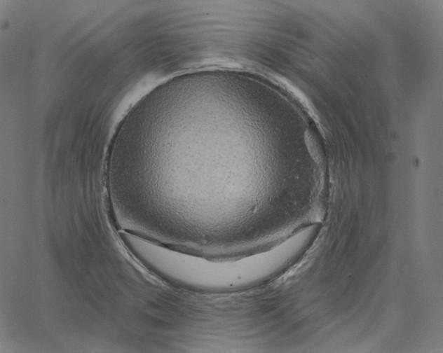 X0000065231373200603031702