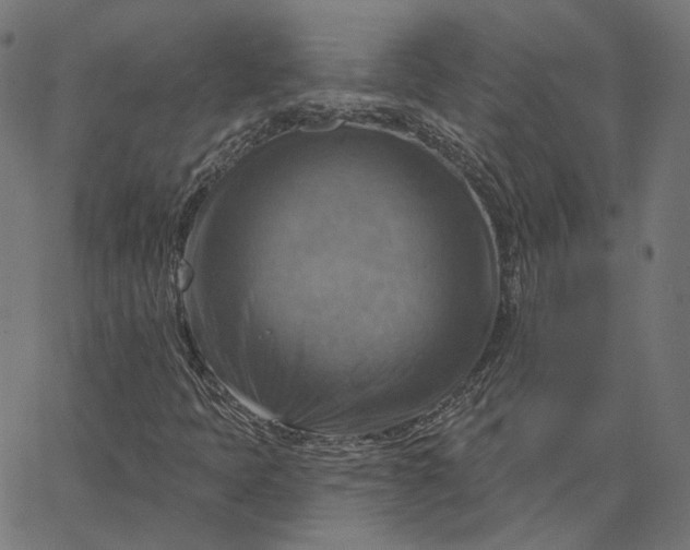 X0000065231397200603031701