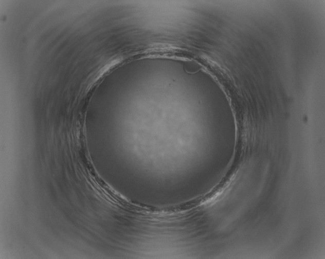 X0000065231401200603031701