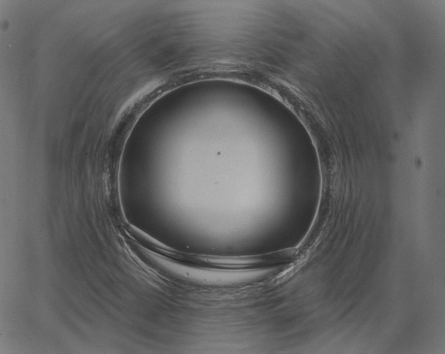 X0000065231402200603031701