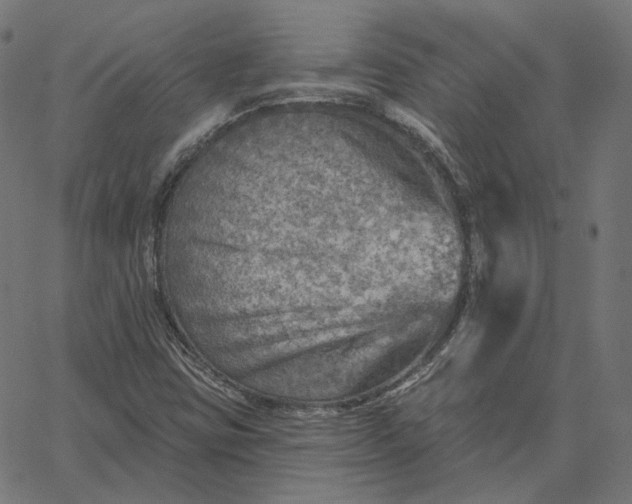 X0000065231403200603031701