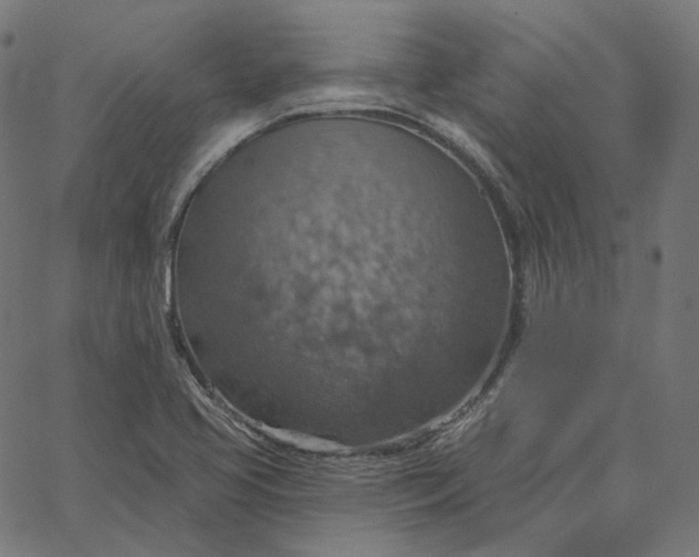 X0000065231413200603031702