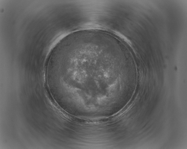 X0000065231415200603031702