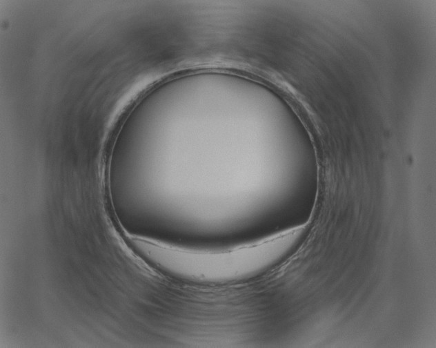 X0000065231416200603031702