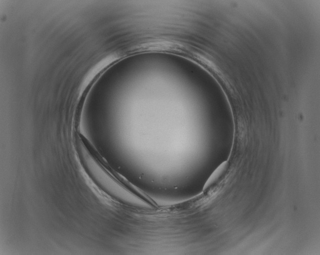 X0000065231426200603031702