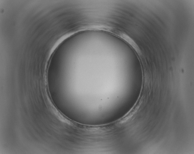 X0000065231436200603031702