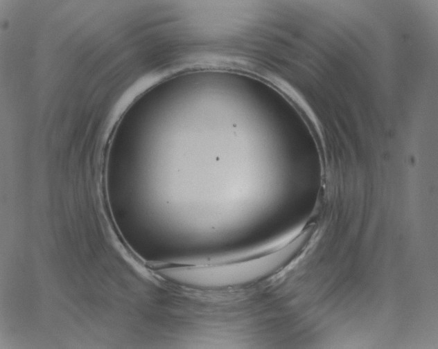 X0000065231437200603031702