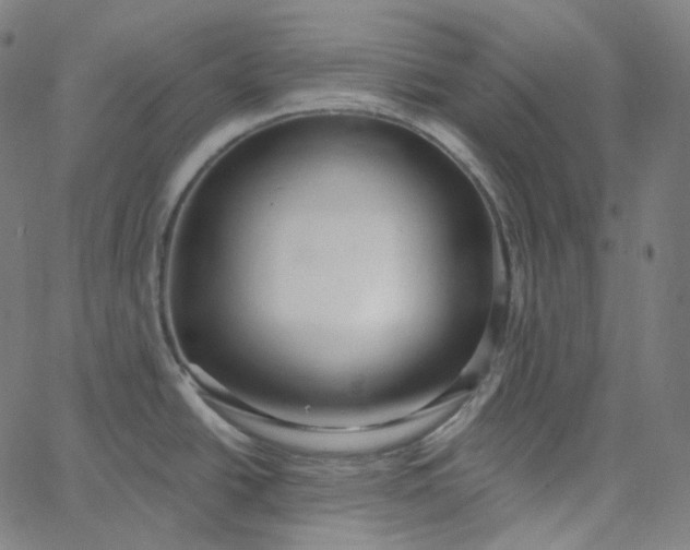 X0000065231438200603031702