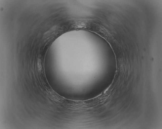 X0000065231442200603031701