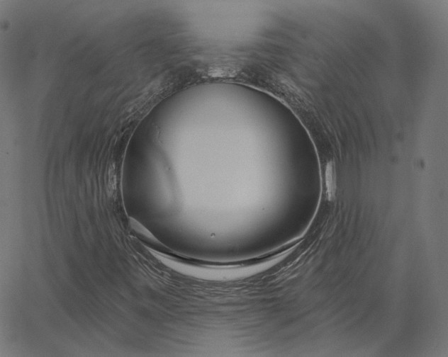 X0000065231443200603031701